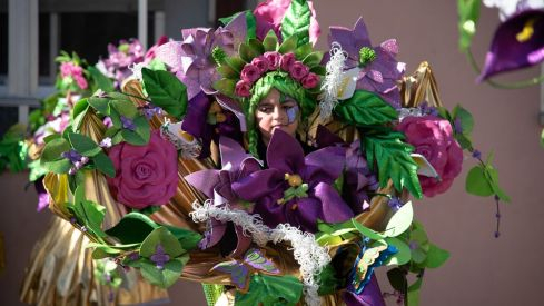 Carnavales vega de espinareda 2019