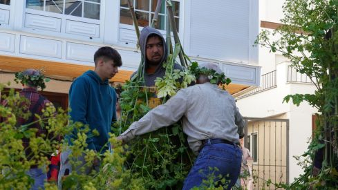 Os Maios de Villafranca Os Maios de Villafranca