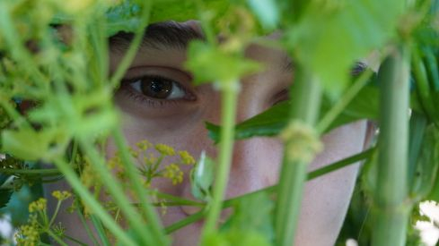 Os Maios de Villafranca Os Maios de Villafranca