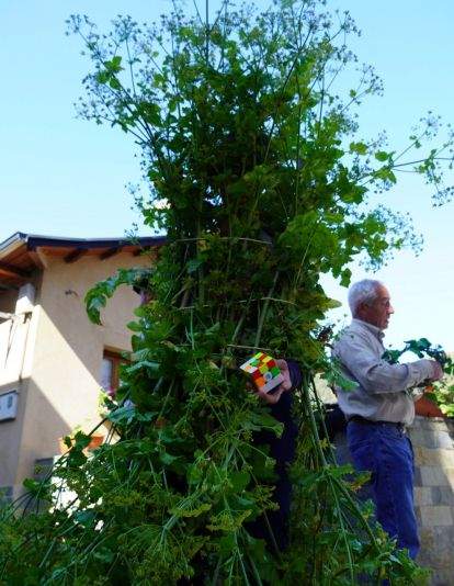 Os Maios de Villafranca Os Maios de Villafranca