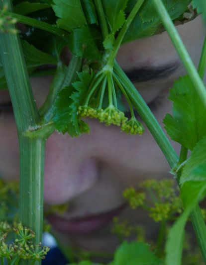 Os Maios de Villafranca Os Maios de Villafranca