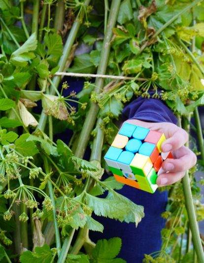 Os Maios de Villafranca Os Maios de Villafranca