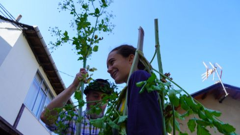 Os Maios de Villafranca Os Maios de Villafranca