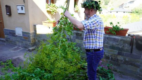 Os Maios de Villafranca Os Maios de Villafranca