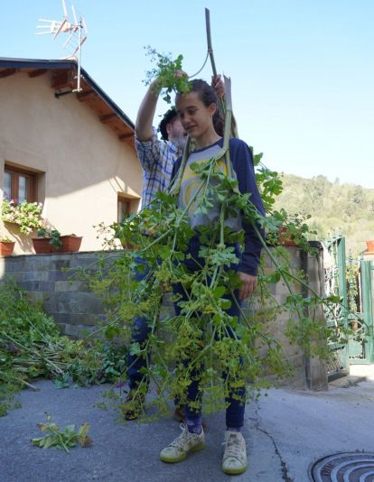 Os Maios de Villafranca Os Maios de Villafranca