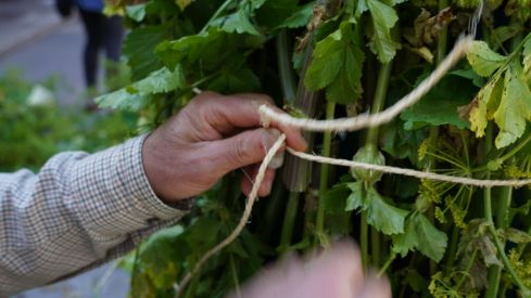 Os Maios de Villafranca Os Maios de Villafranca