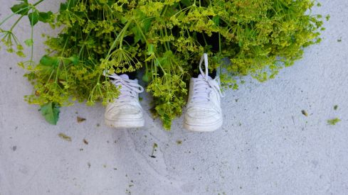 Os Maios de Villafranca Os Maios de Villafranca