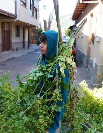 Os Maios de Villafranca Os Maios de Villafranca