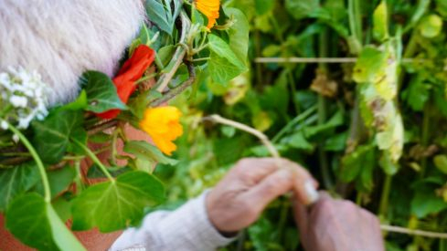 Os Maios de Villafranca Os Maios de Villafranca
