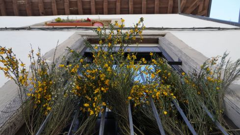 Os Maios de Villafranca Os Maios de Villafranca