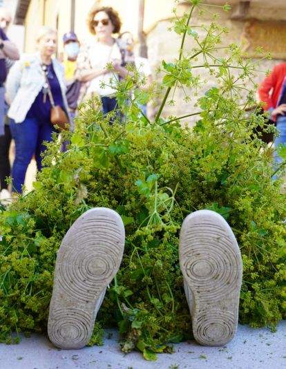 Os Maios de Villafranca Os Maios de Villafranca