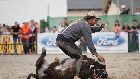 Feria del Caballo de Camponaraya 2022