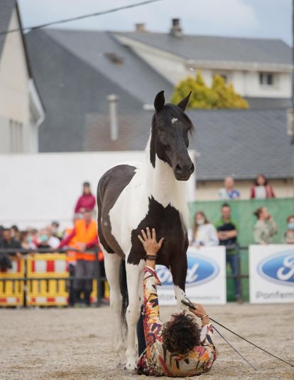 Feria del Caballo de Camponaraya 2022
