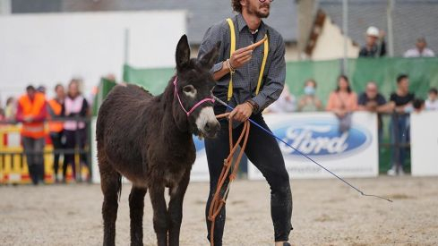 Feria del Caballo de Camponaraya 2022