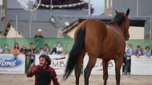 Feria del Caballo de Camponaraya 2022