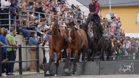 Feria del Caballo de Camponaraya 2022