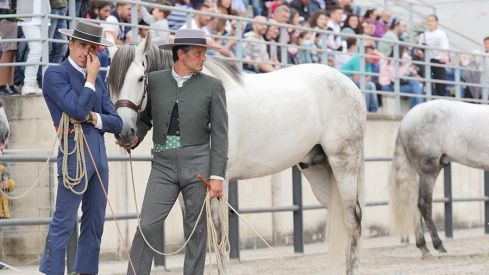 Feria del Caballo de Camponaraya 2022