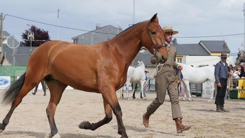 Feria del Caballo de Camponaraya 2022