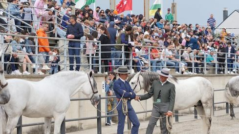 Feria del Caballo de Camponaraya 2022