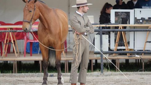 Feria del Caballo de Camponaraya 2022