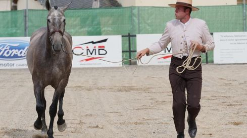 Feria del Caballo de Camponaraya 2022