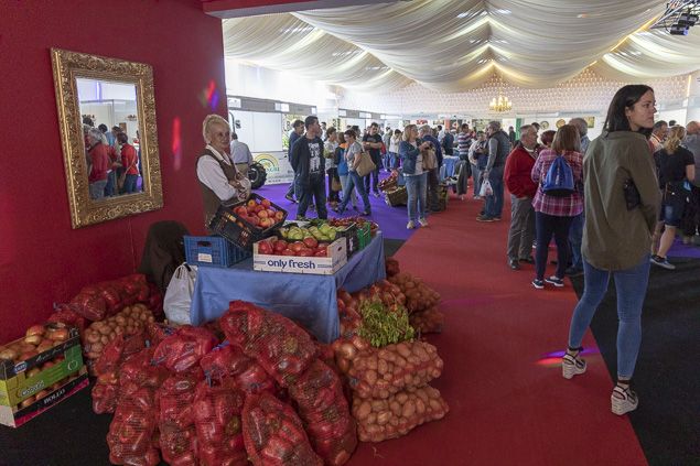 Feria Pimiento Fruta Carracedelo Oro de Roma 2018 635_6