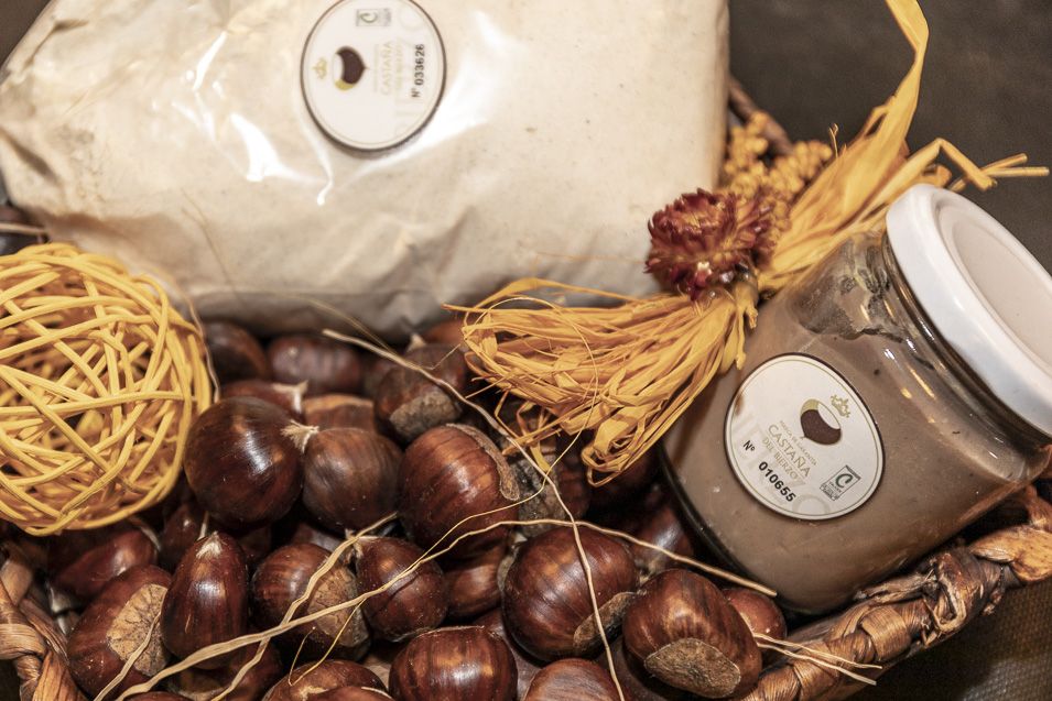 IX Feria Internacional Castaña Carracedelo 2018 955 IX Feria Internacional Castaña Carracedelo 2018 955