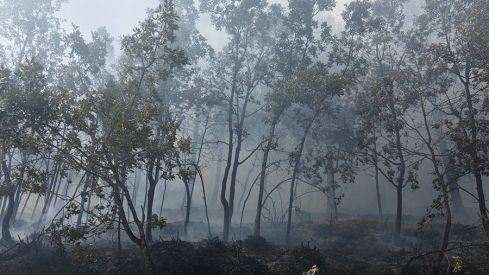 Galería desalojo San Adrián Galería desalojo San Adrián