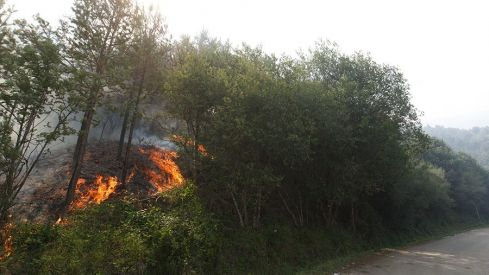 Galería desalojo San Adrián Galería desalojo San Adrián