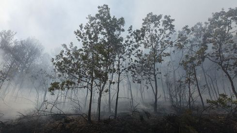 Galería desalojo San Adrián Galería desalojo San Adrián