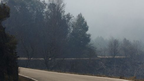 Galería desalojo San Adrián Galería desalojo San Adrián