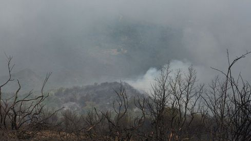 Galería desalojo San Adrián Galería desalojo San Adrián