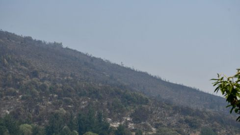 Incendio Monte de Valdueza desde dentro Incendio Monte de Valdueza desde dentro