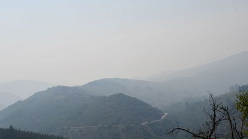 Incendio Monte de Valdueza desde dentro Incendio Monte de Valdueza desde dentro