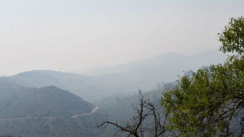 Incendio Monte de Valdueza desde dentro Incendio Monte de Valdueza desde dentro