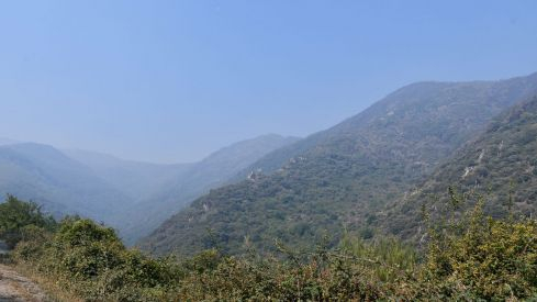 Incendio Monte de Valdueza desde dentro Incendio Monte de Valdueza desde dentro