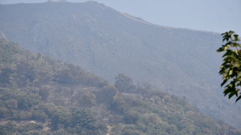 Incendio Monte de Valdueza desde dentro Incendio Monte de Valdueza desde dentro