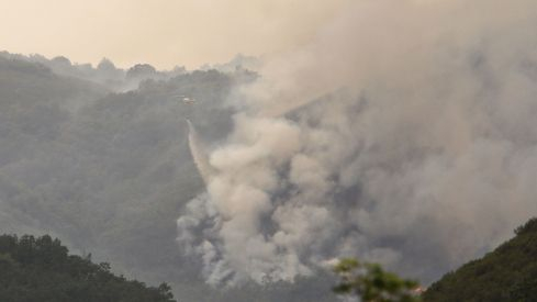 Incendios en El Bierzo