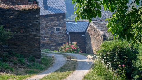 Incendio Monte de Valdueza desde dentro Incendio Monte de Valdueza desde dentro