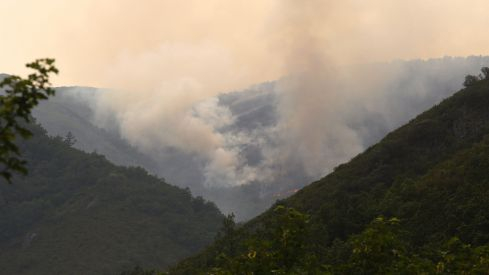 Incendios en El Bierzo