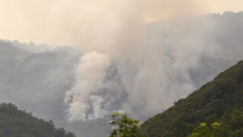 Incendios en El Bierzo