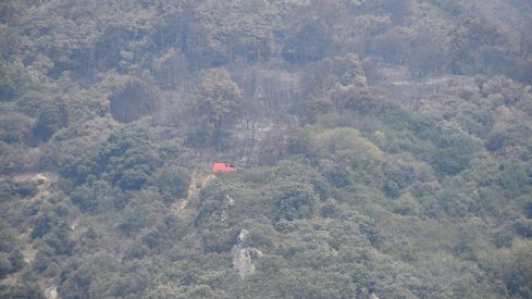 Incendio Monte de Valdueza desde dentro Incendio Monte de Valdueza desde dentro