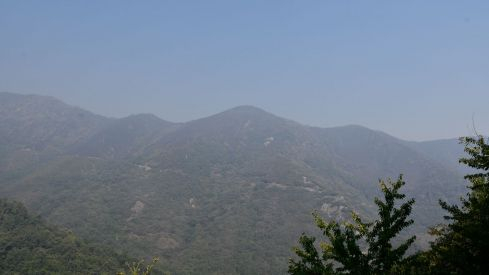 Incendio Monte de Valdueza desde dentro Incendio Monte de Valdueza desde dentro