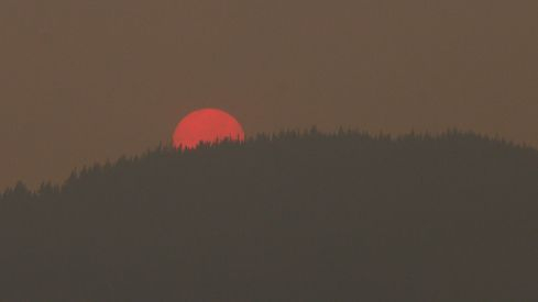 Incendios en El Bierzo