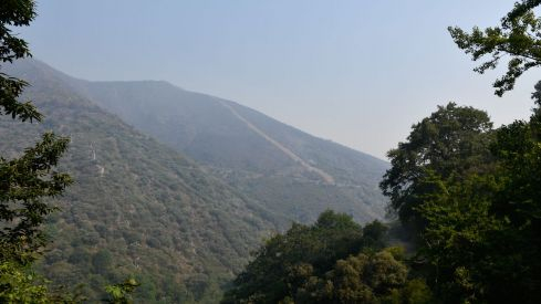Incendio Monte de Valdueza desde dentro Incendio Monte de Valdueza desde dentro