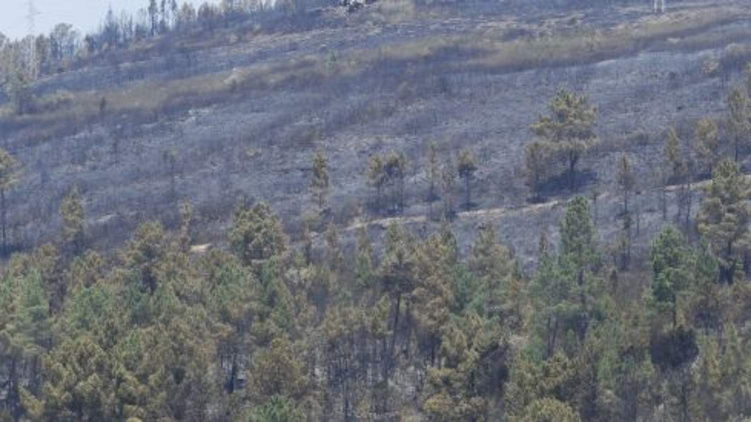 Los vecinos de San Pedro de Trones vuelven a sus casas Los vecinos de San Pedro de Trones vuelven a sus casas