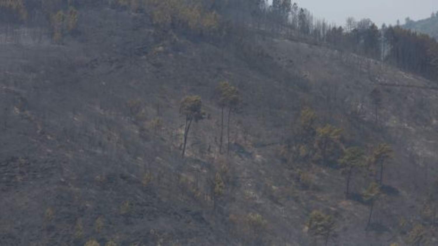 Los vecinos de San Pedro de Trones vuelven a sus casas Los vecinos de San Pedro de Trones vuelven a sus casas
