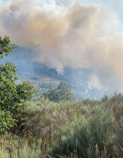Incendio de Otero de Naraguantes