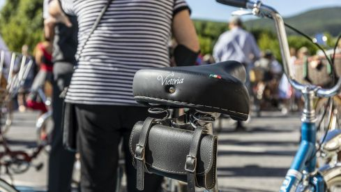 Torale Classique 2019 Torale Classique 2019