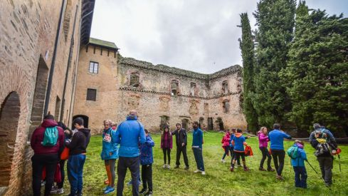 Dragoman 2019 Dragoman 2019